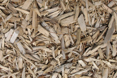 biomass boilers Brierholme Carr